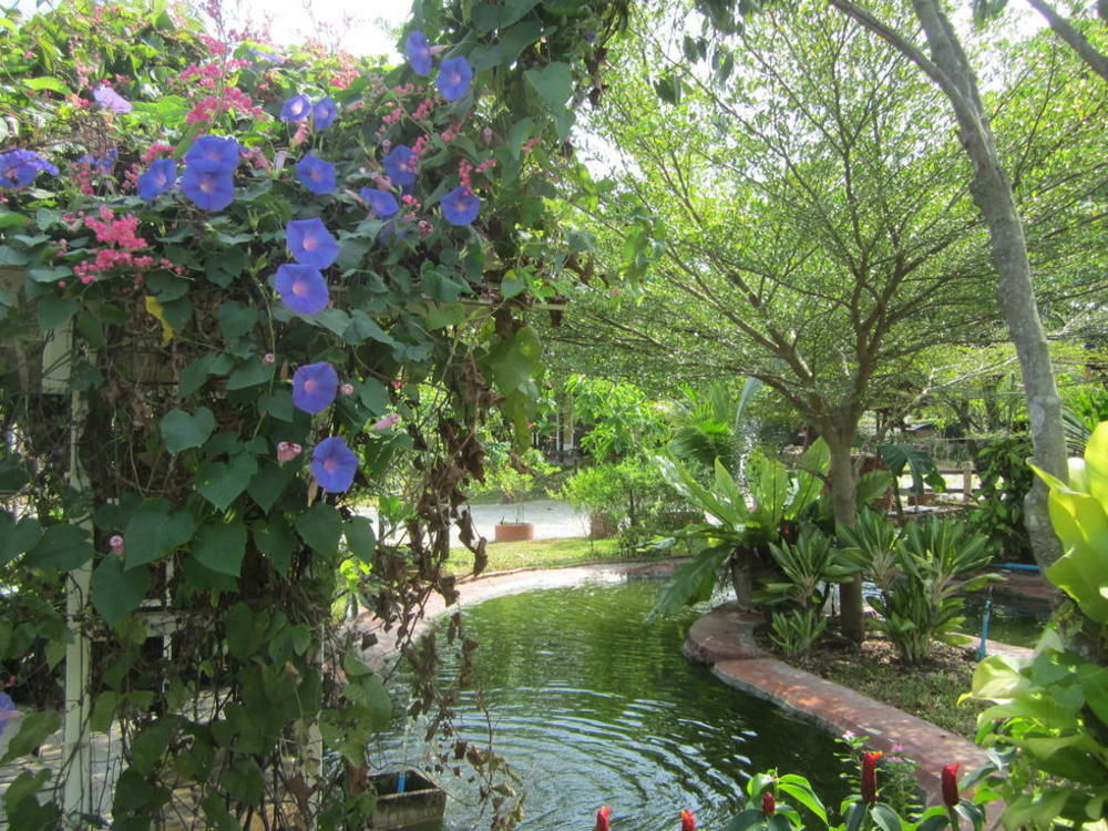 Cowboy Farm Resort Pattaya Ban Huai Yai Dış mekan fotoğraf